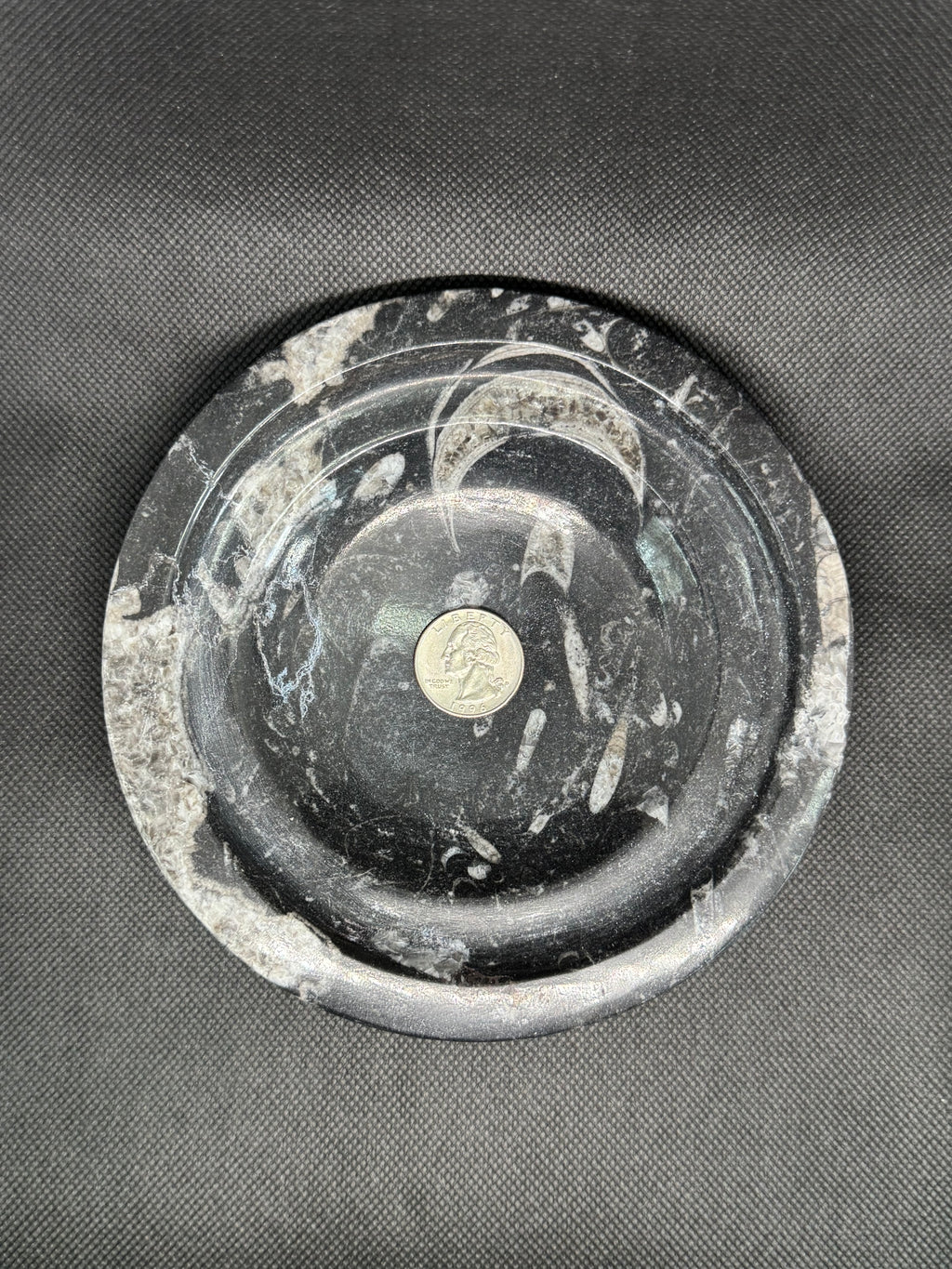 Fossil Box