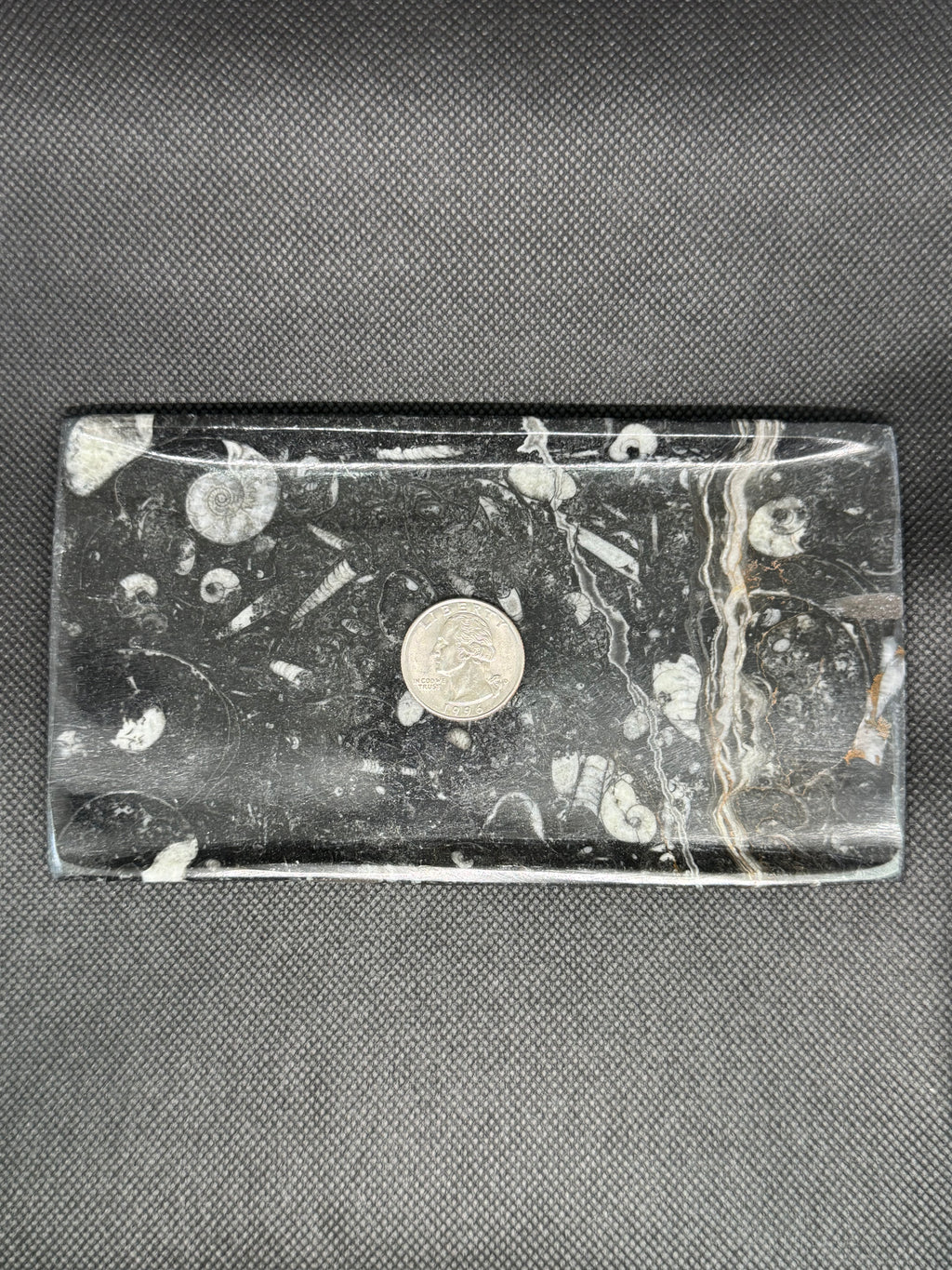 Fossil Plate