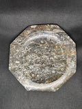 Fossil Plate