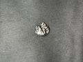 Meteorite
