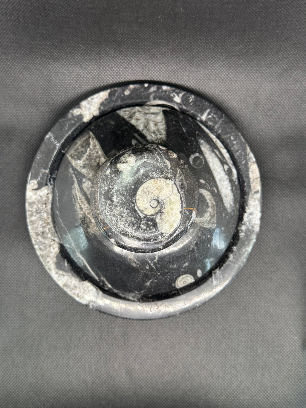 Fossil Box