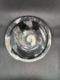 Fossil Box