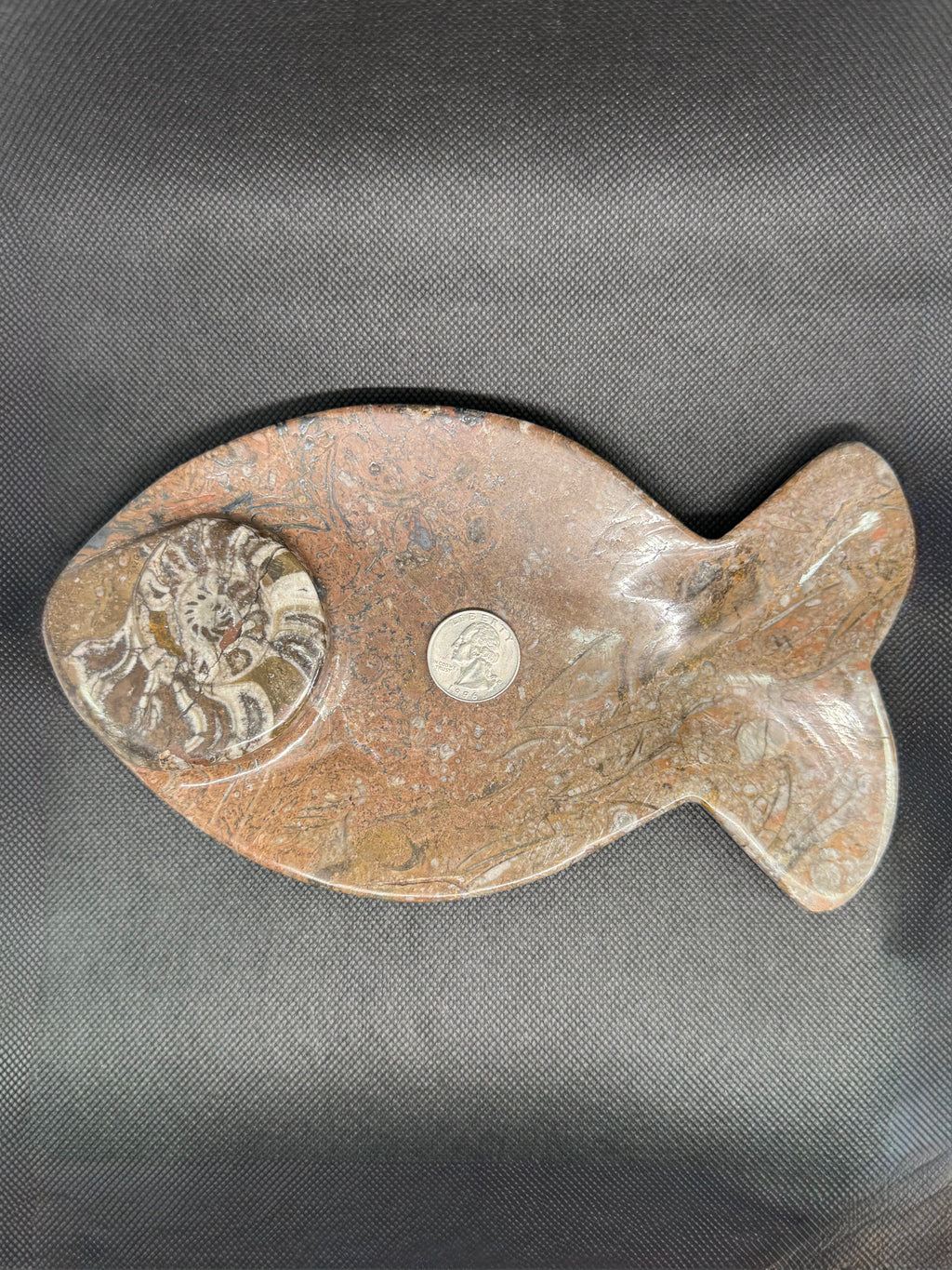 Fossil Plate