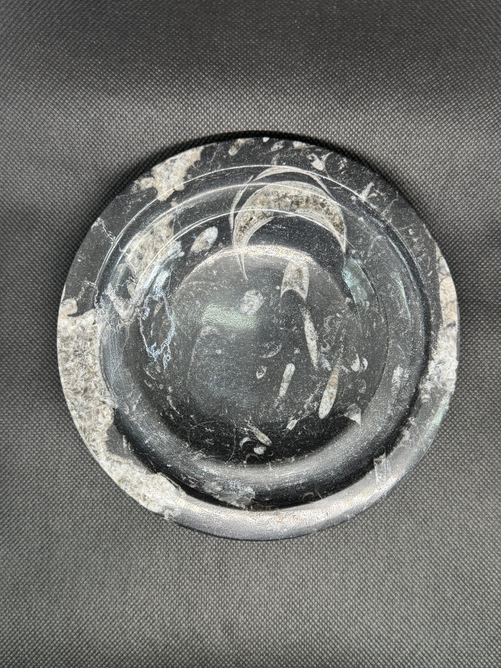 Fossil Box