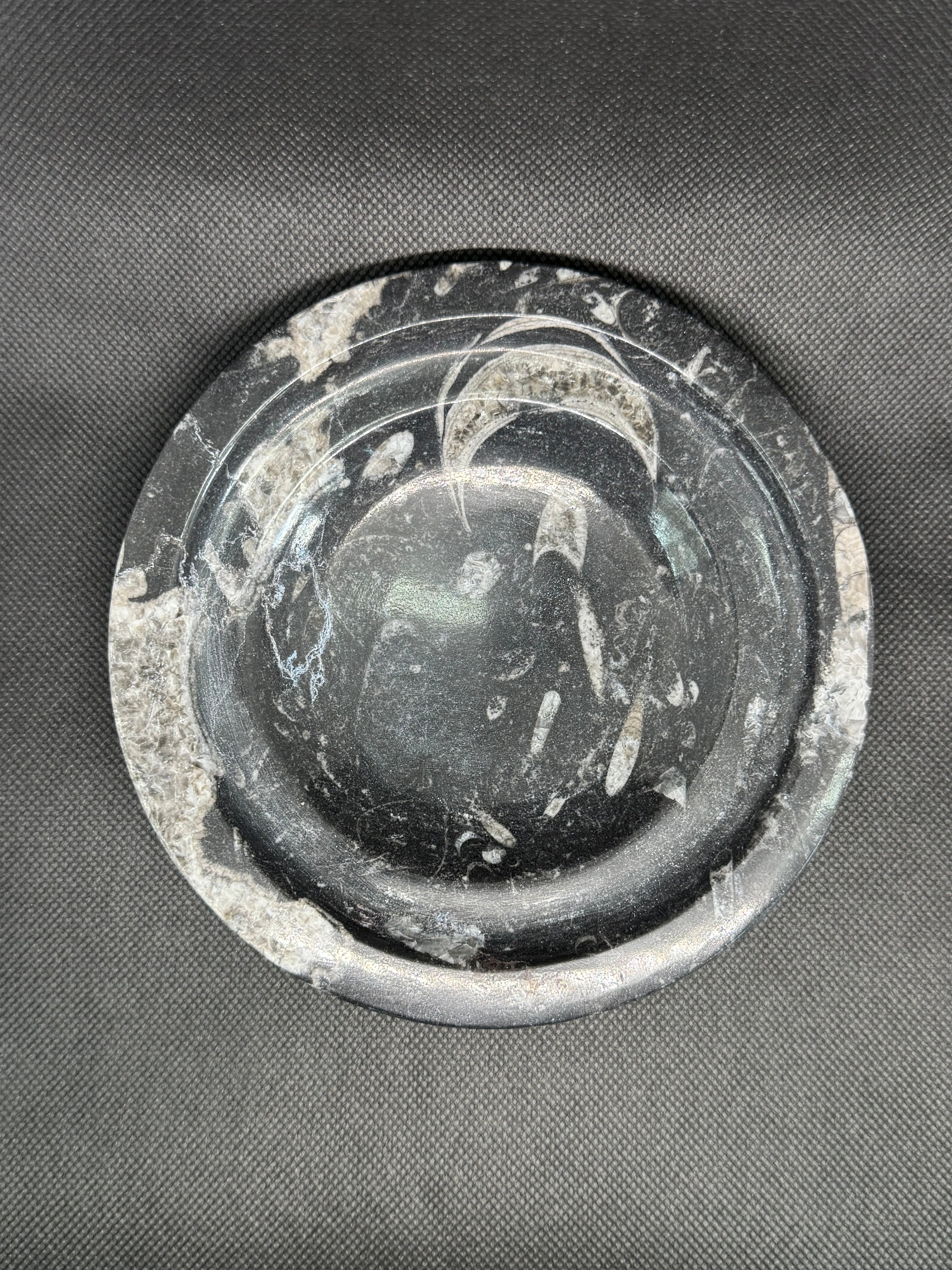 Fossil Box