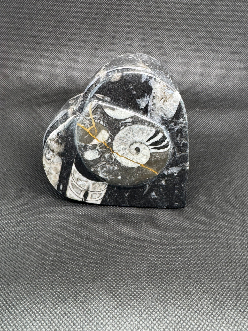 Fossil Heart Box