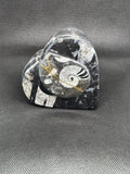 Fossil Heart Box