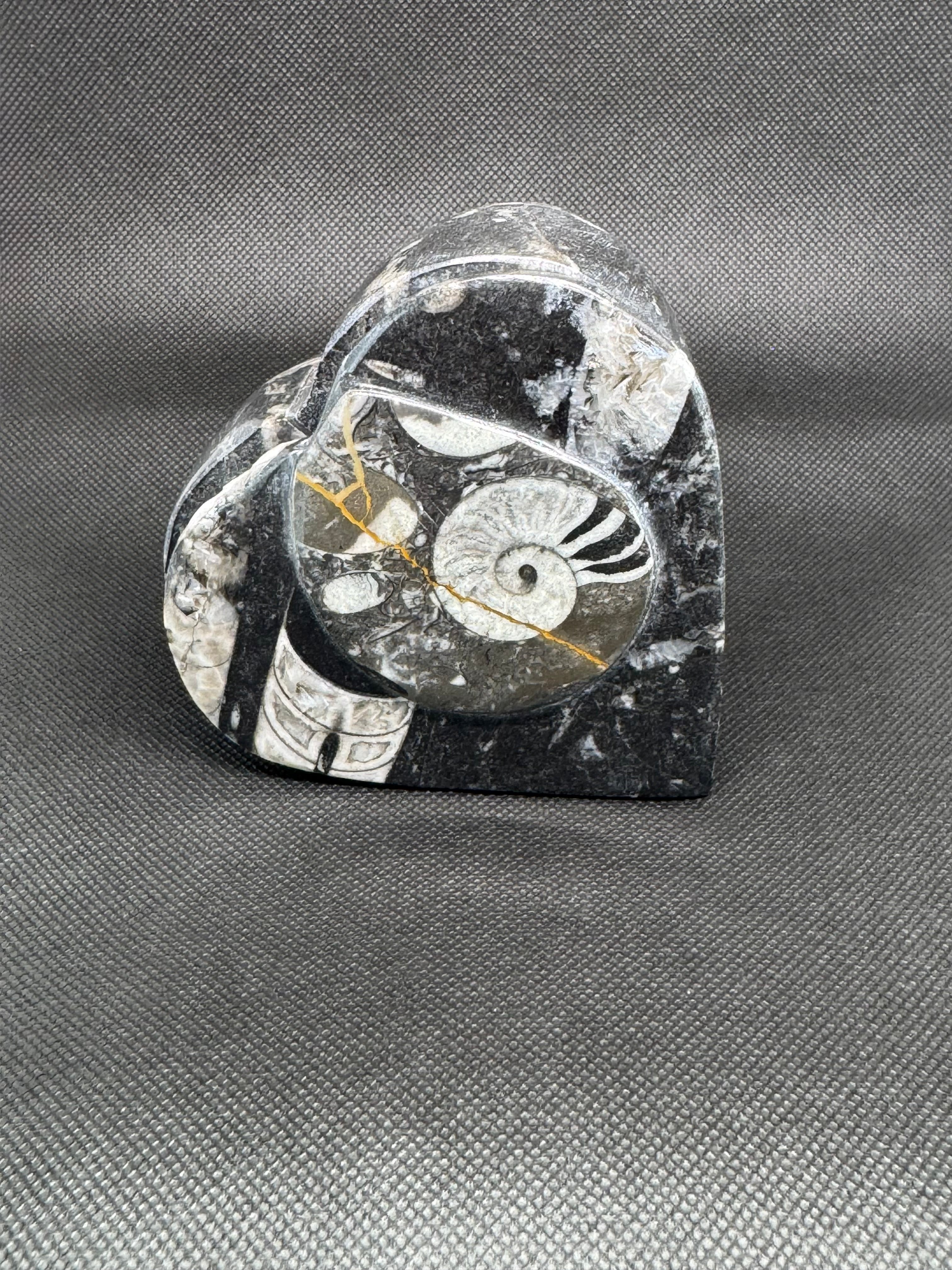 Fossil Heart Box
