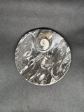 Fossil Plate