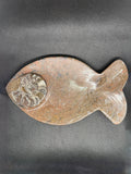 Fossil Plate