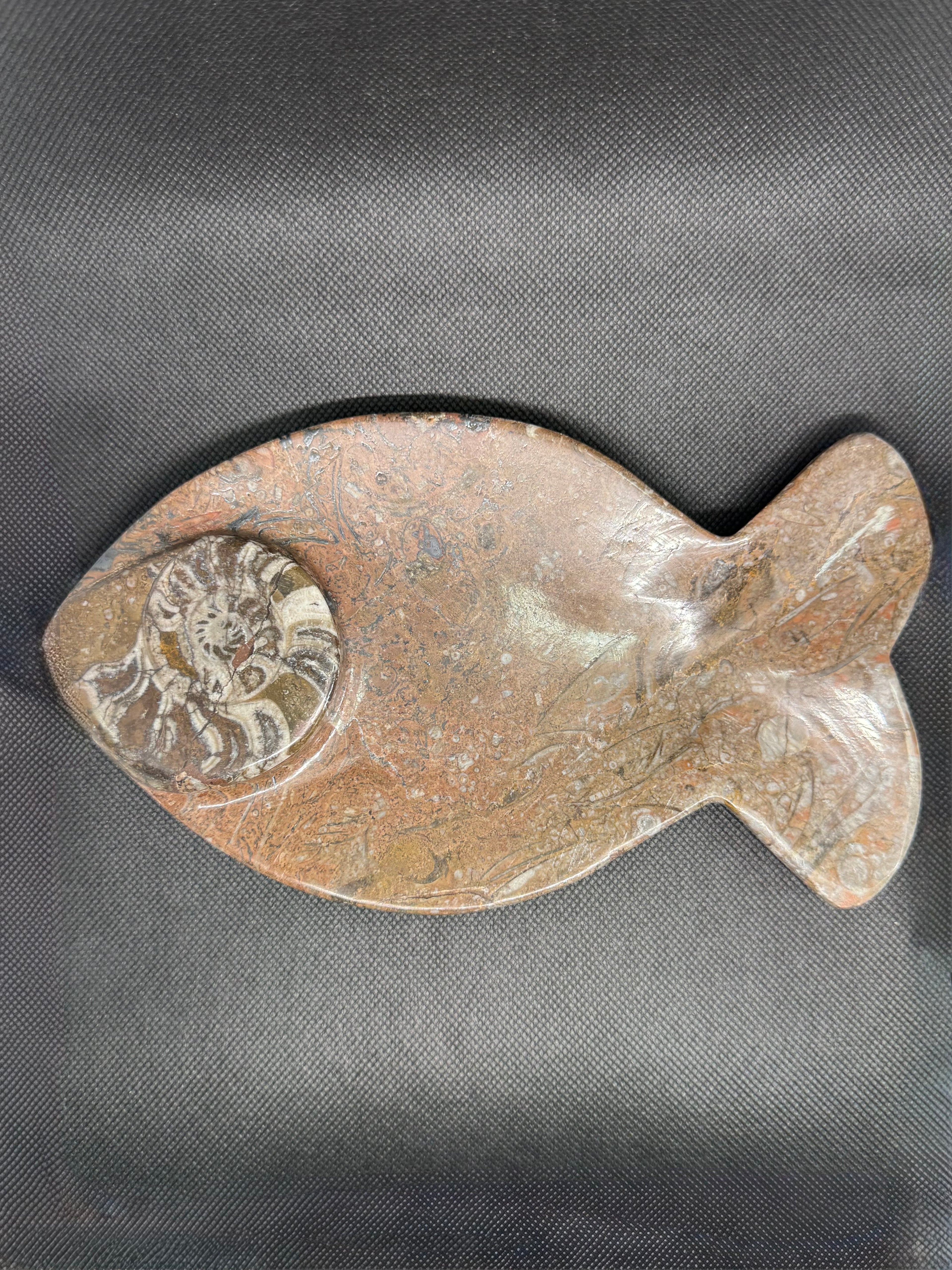 Fossil Plate