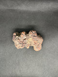 Coprolite