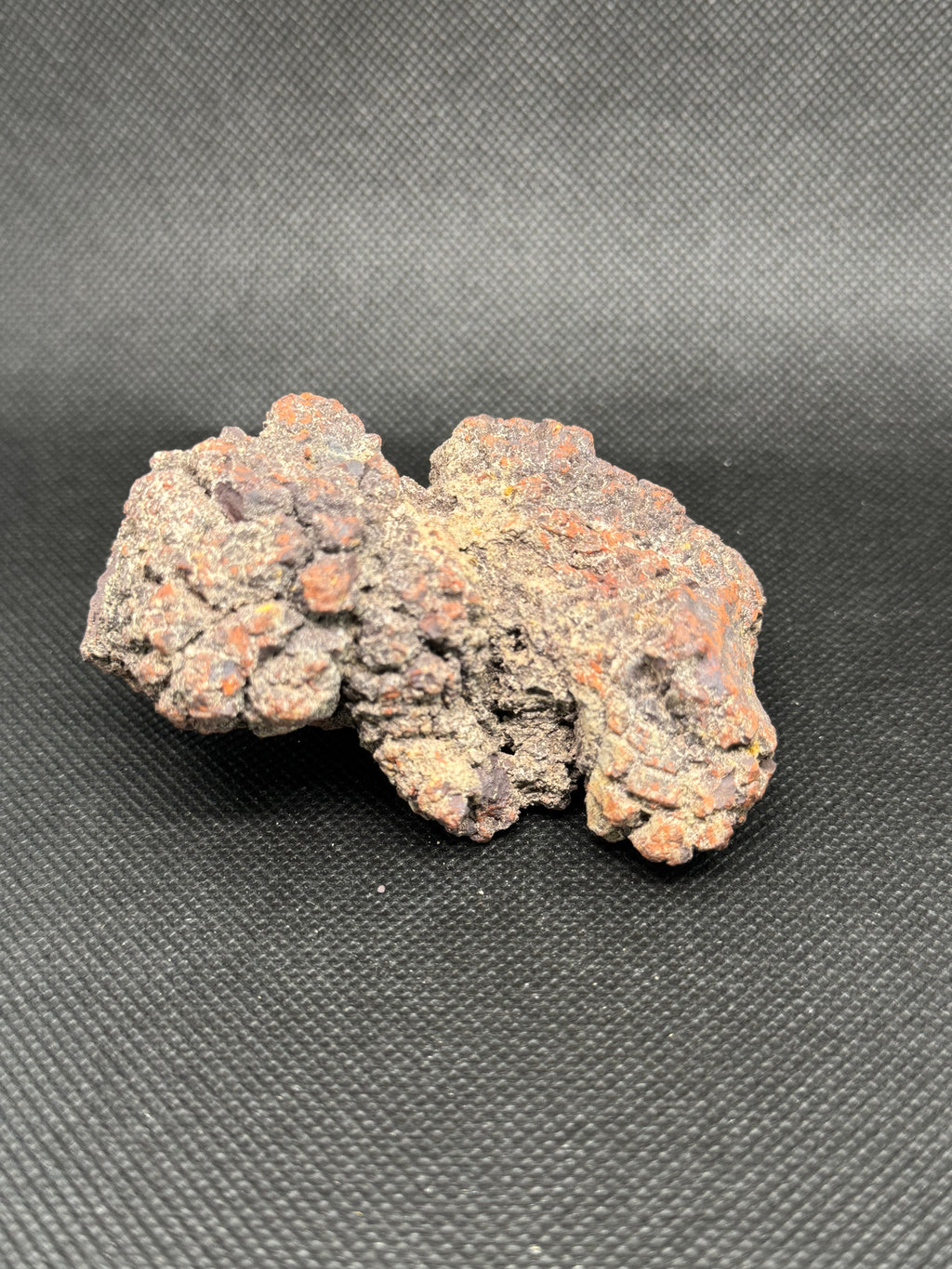 Coprolite
