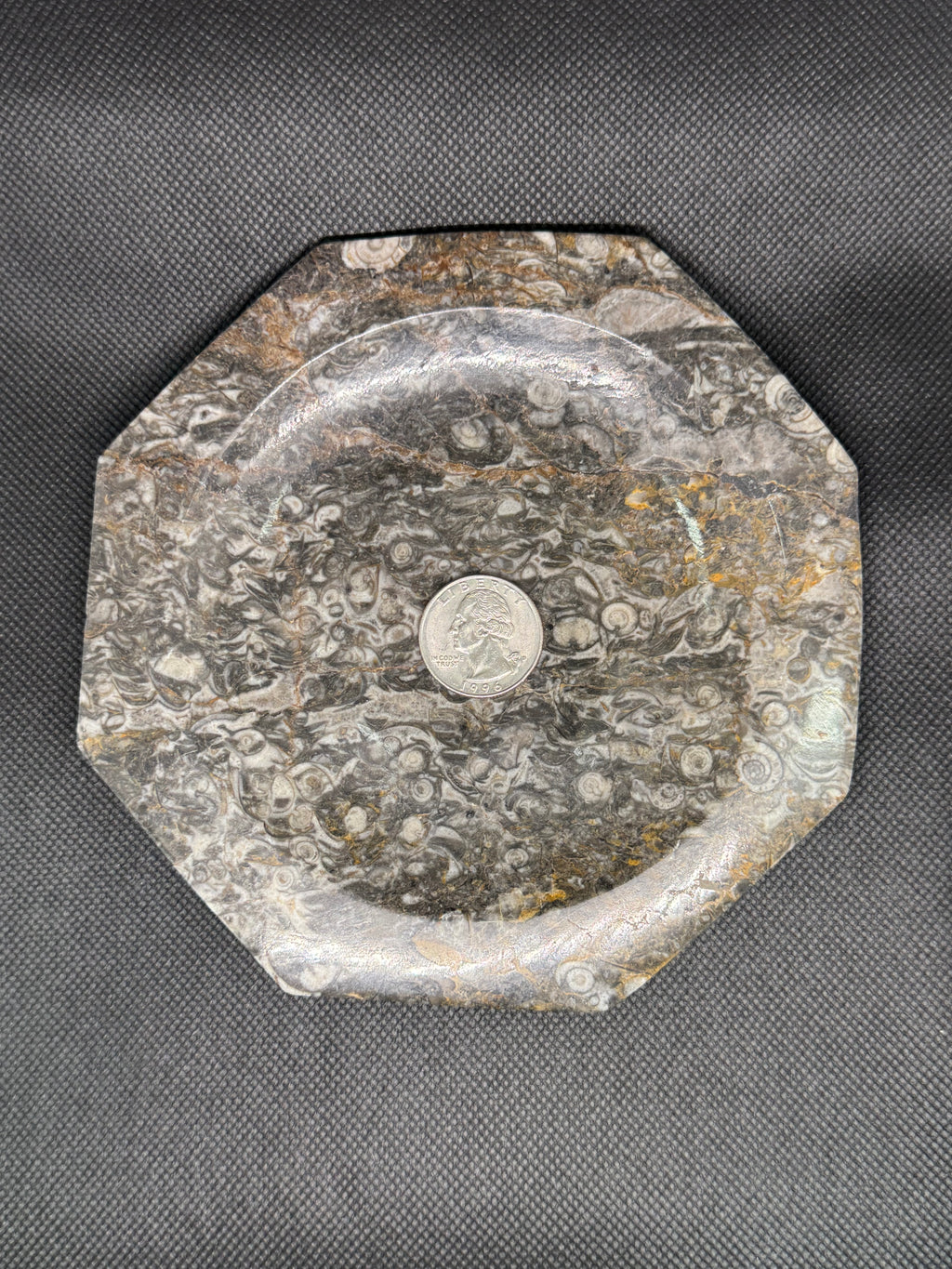 Fossil Plate