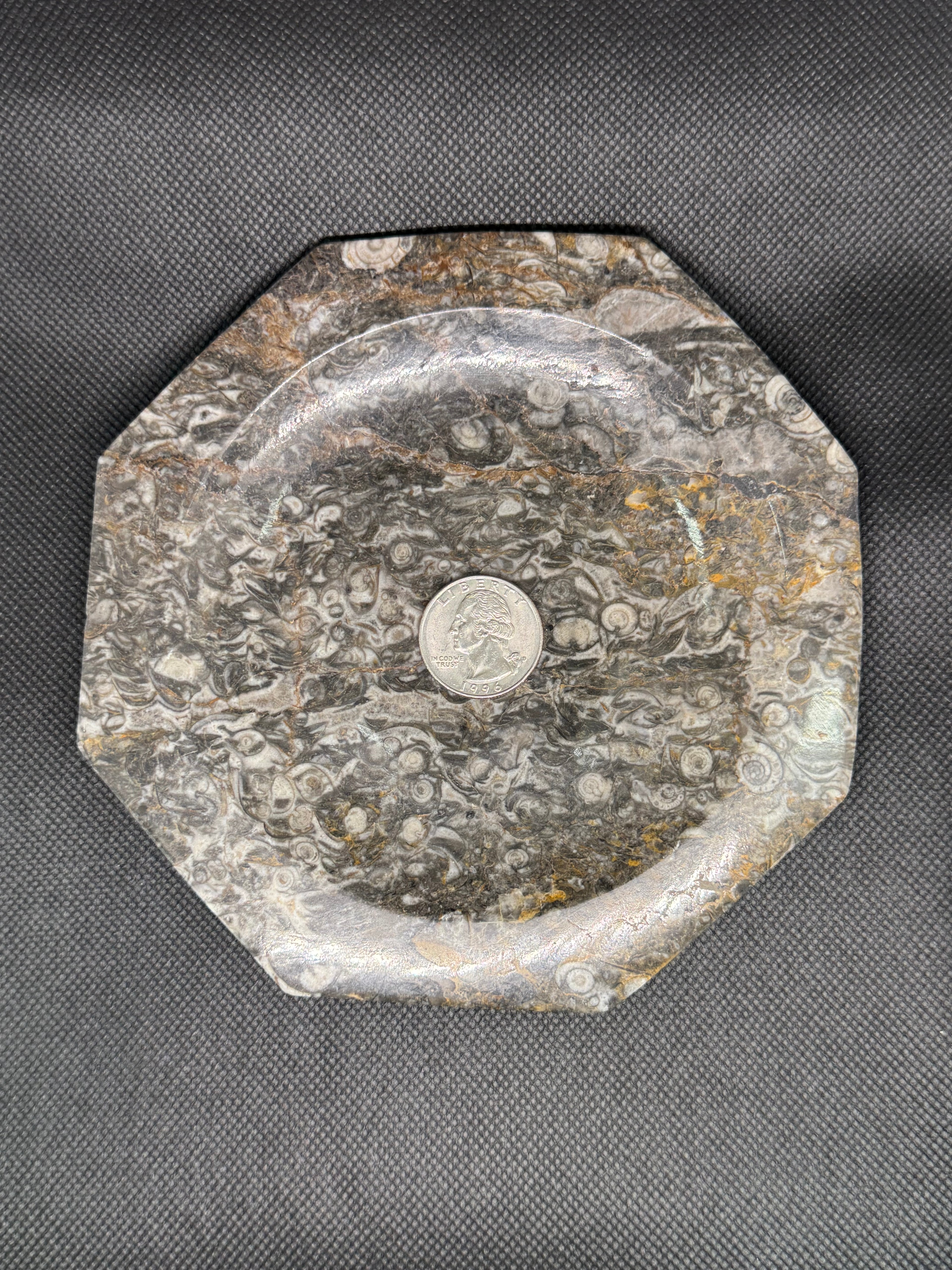 Fossil Plate
